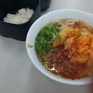 うどん 弁当箱セット