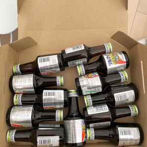 新品 ソルマック サキノミ 12本 忘年会 飲み会 歓送迎会 飲み過ぎ 食べ過ぎ