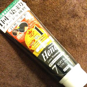 6年連続 ナンバーワン!テンスター ヘナ カラートリートメント ソフトブラック 日本製 250g