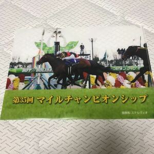 JRA ステルヴィオ マイルチャンピオンシップ クリアファイル 2019年 京都競馬場イベント抽選品 京都競馬場限定