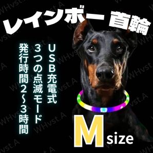 犬 ドッグ 光る 首輪 LED Mサイズ レインボー USB充電 夜間 散歩用
