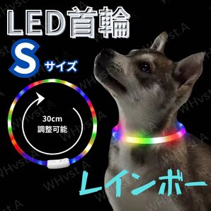 犬 ドッグ 光る 首輪 LED Sサイズ レインボー USB充電 夜間 散歩用