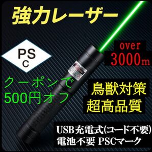 USB充電式 グリーンレーザー ★ 強力光線 高性能 高本質 高評価