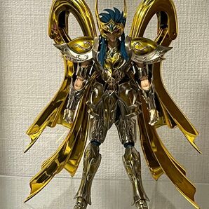 聖闘士聖衣神話EX 水瓶座 アクエリアス カミュ 神聖衣