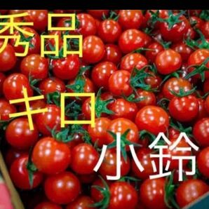 ミニトマト 熊本県産