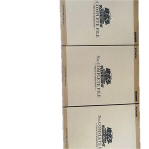 No. COMPLETE FILE -PIECE OF MEMORIES-