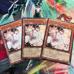 灰流うらら ノーマル 3枚 遊戯王