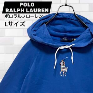 【超美品】激レア Lサイズ マルチカラー ポニー 刺繍 POLO Ralph Lauren ポロラルフローレン パーカー