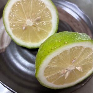 福岡県産 レモン 2キロ