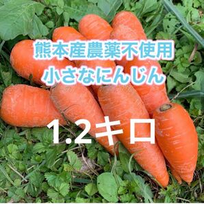 熊本産農薬不使用小さなにんじん1.2キロ