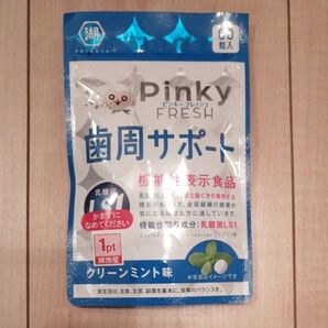 湖池屋 Pinky FRESH 歯周サポート グリーンミント味 60粒入