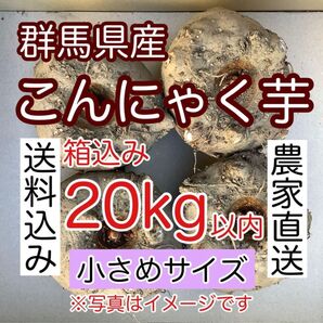【群馬県産】こんにゃく芋 箱込み20kg以内 手作りこんにゃく用【小さめサイズ】