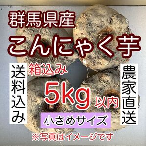 【群馬県産】こんにゃく芋 箱込み5kg以内 手作りこんにゃく用【小さめサイズ】