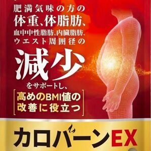 カロバーンEX 30日分 肥満気味の方の体重 体脂肪の減少を助ける 血中中性脂肪 ダイエットサプリ
