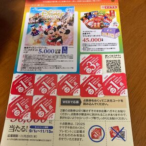 ヤマザキ 秋のわくわくプレゼント 応募点数券 10点分