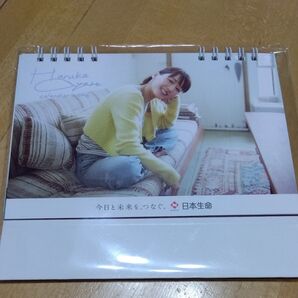 綾瀬はるか 2026年 カレンダー 日本生命