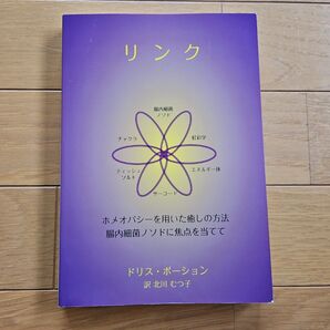 リンク : ホメオパシーを用いた癒しの方法-腸内細菌ノソドに焦点を当てて