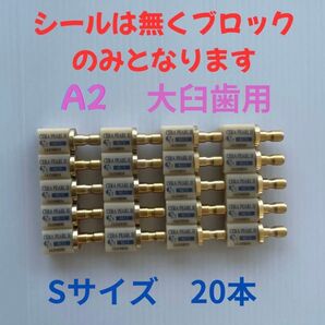 CADブロック 大臼歯 A2 Sサイズ 20本
