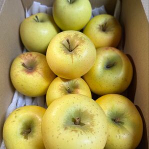 青森県産シナノゴールド80サイズいっぱい家庭用