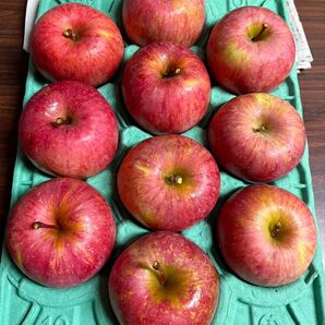 青森県産減農薬栽培 サンふじ10玉家庭用