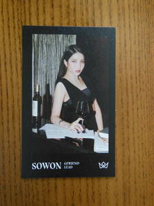 回: Walpurgis Night 【SOWON】BUSINESS CARD