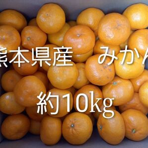 熊本県産みかん