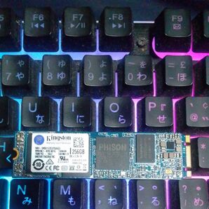 Kingston 256GB M.2 SSD RBU-SNS815253/256GG5