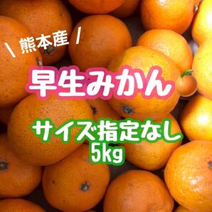 熊本産◎早生みかん サイズ混合 5kg(送料無料)