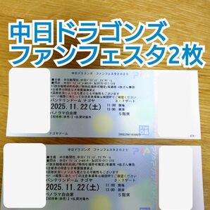 中日ドラゴンズ ファンフェスタ2025 パノラマ自由席チケット 2枚