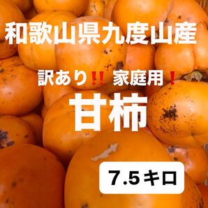 和歌山県九度山産 甘柿 7.5キロ箱