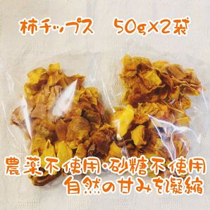 農薬不使用・砂糖不使用 柿チップス ドライフルーツ 100グラム