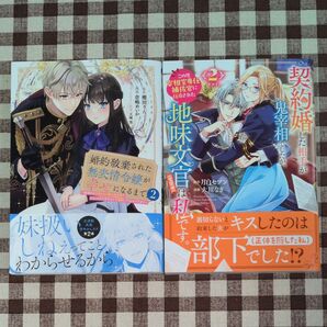 婚約破棄された無表情令嬢が幸せになるまで 契約婚した相手が鬼宰相でしたが、この度宰相室専任補佐官に任命された地味文官(変装中)は私