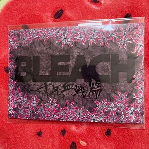 BLEACH ブリーチ ポップアップイラストカード エポスカード景品