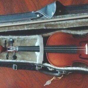 バイオリン 弦楽器