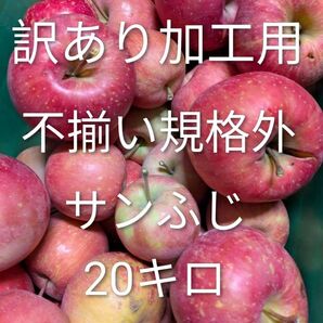 訳あり加工用サンふじ20キロ