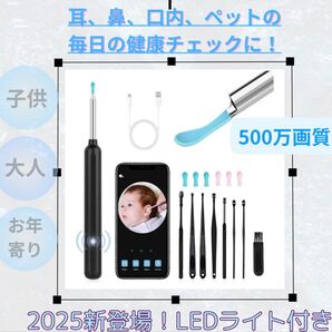 大特価!!新品未使用!!耳かき カメラ 耳掃除 WIFI接続 LEDライト搭載 IP67防水 左右反転機能