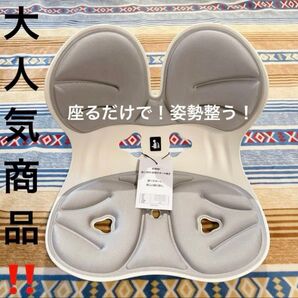 【DEZIYUA】姿勢矯正チェア 骨盤サポート 猫背改善 腰痛対策 デズヤ レッドドット賞受賞ブランド 骨盤矯正 第二世代 グレー