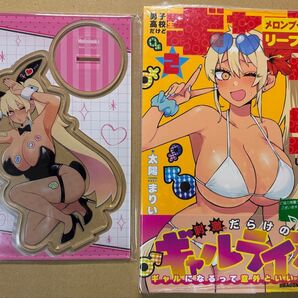 男子高校生だけどギャルにTSしました 2巻 メロンブックス特典付き アクリルスタンド 太陽まりい