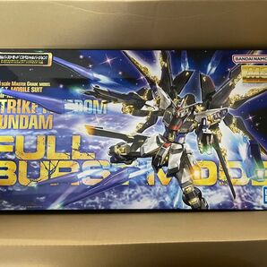 MG ストライクフリーダムガンダム フルバーストモード 機動戦士ガンダムSEED DESTINY 未組立