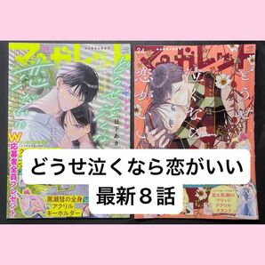 マーガレット 切り抜き どうせ泣くなら恋がいい