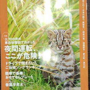 JAFMate ジャフメイト 2025 秋 神奈川県 相模原市 愛川町 清川村 夜間運転ここが危険! インタビュー 春風亭昇太