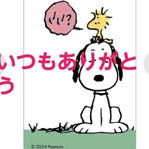 いつもありがとうございます。