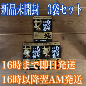 健康家族 にんにく卵黄極 31粒 3袋 セット