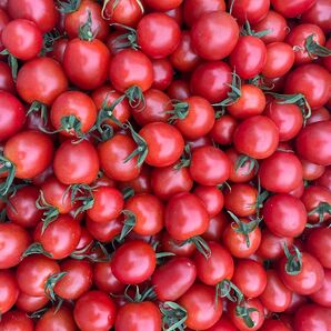 熊本県産ミニトマトCF千果900g