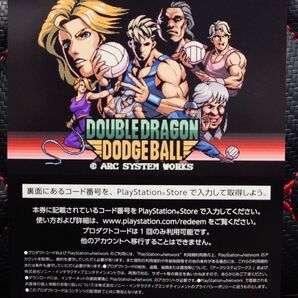 早期購入特典 PS5 ダブルドラゴンドッジボールDLC用紙のみ ※ダブルドラゴンリヴァイヴのゲームソフトは付きません。
