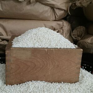 令和7年産 希少品種 大正もち 精米10キロ 未選別