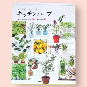 キッチンハーブ おうちで育てて、おいしく元気! 楽しい利用法&レシピ125紹介 品種161【送料込】