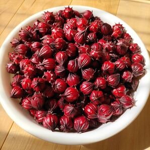 ローゼル(ハイビスカス)の種30粒黒い種(写真8枚目)