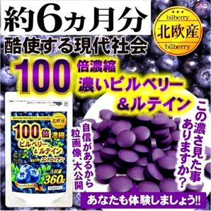 PC、スマホ等をよく利用する方に!【ビルベリー&ルテイン】約6ヶ月分