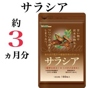 甘い物や炭水化物がお好きな方に!【サラシア】約3ヶ月分